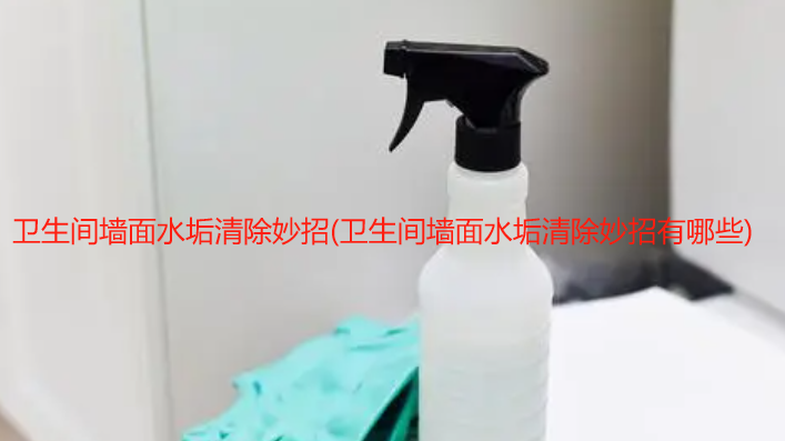 清洗卫生间墙面瓷砖的水垢怎么去除
