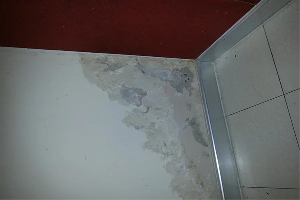 卫生间漏水用什么补漏