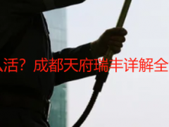 开荒保洁都是干什么活？成都天府瑞丰详解全流程，不敷衍无死角