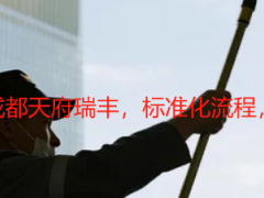 别墅保洁工作流程｜成都天府瑞丰，标准化流程，解锁别墅洁净新高度