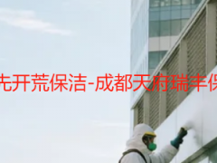 新房先安灯还是先开荒保洁-成都天府瑞丰保洁新房专属指南