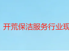 开荒保洁服务行业现状_成都天府瑞丰解读，本地市场趋势与痛点解析
