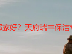 清洗空调服务哪家好？天府瑞丰保洁专业上门更省心