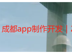 成都app制作开发｜2026顶好网络专业定制，高效落地无隐形消费