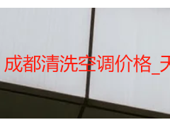 成都清洗空调价格_天府瑞丰保洁，透明无隐形消费，2026最新价目表