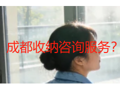成都收纳咨询服务？本地家庭的专属定制指南