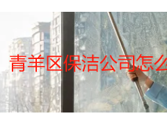 青羊区保洁公司怎么选？结合本地场景的实用选择指南