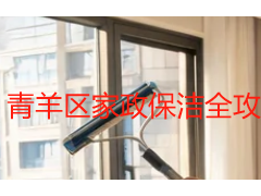 青羊区家政保洁全攻略：不同场景怎么选、收费标准与避坑要点