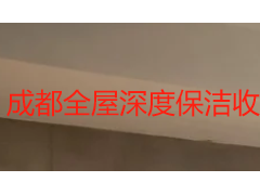 成都全屋深度保洁收纳整理一体：一次上门同时解决洁净与有序