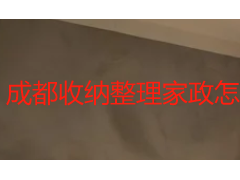 成都收纳整理家政怎么选？保洁 + 收纳一体化服务全攻略