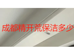 成都精开荒保洁多少钱一个小时_2026 收费标准_计费方式对比