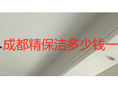 成都精保洁多少钱一平？2026 价格明细与计费标准详解
