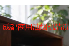 成都商用油烟机清洗公司有哪些？本地挑选指南与服务详解