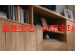 整理生活：风靡全球的整理收纳术，成都家庭的落地指南