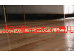 清洗油烟机费用多少钱？2026年成都天府瑞丰保洁透明价目参考