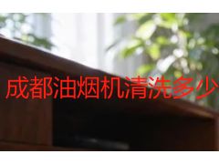 成都油烟机清洗多少钱一个小时？2026本地上门清洗价格明细参